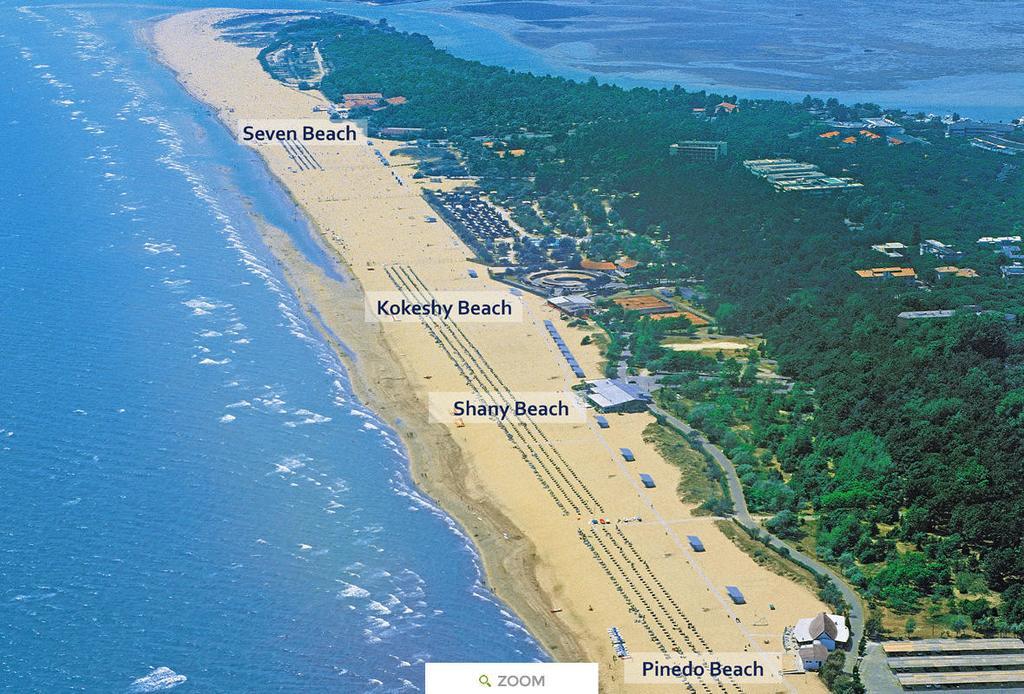 Nettuno Pineda Bibione